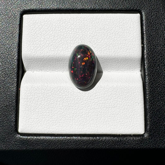 OV 3.22 CT